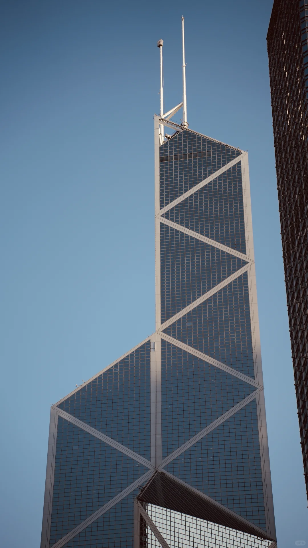 在HK做新媒体是一片蓝海