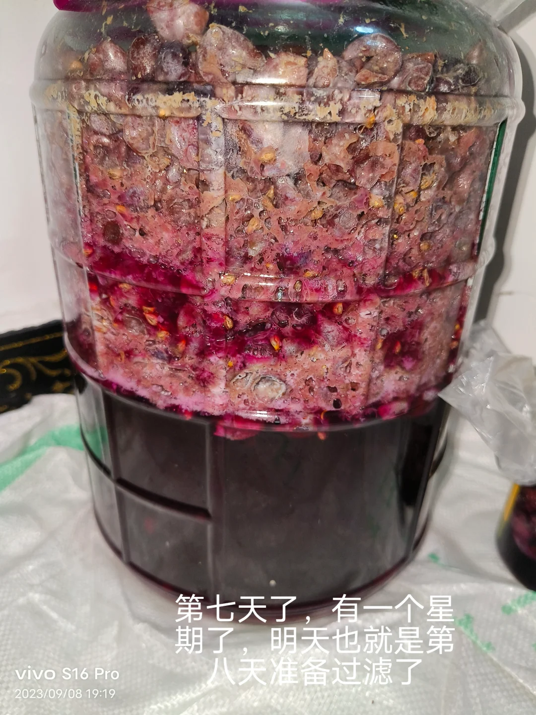 做葡萄酒发酵记录