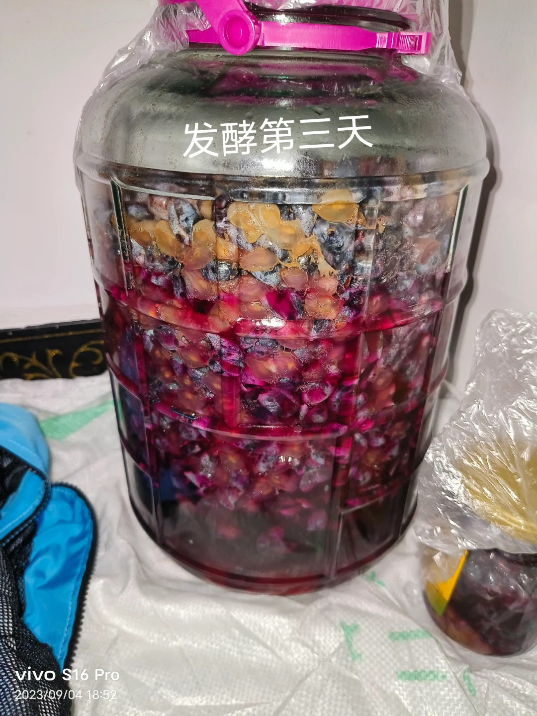 做葡萄酒发酵记录