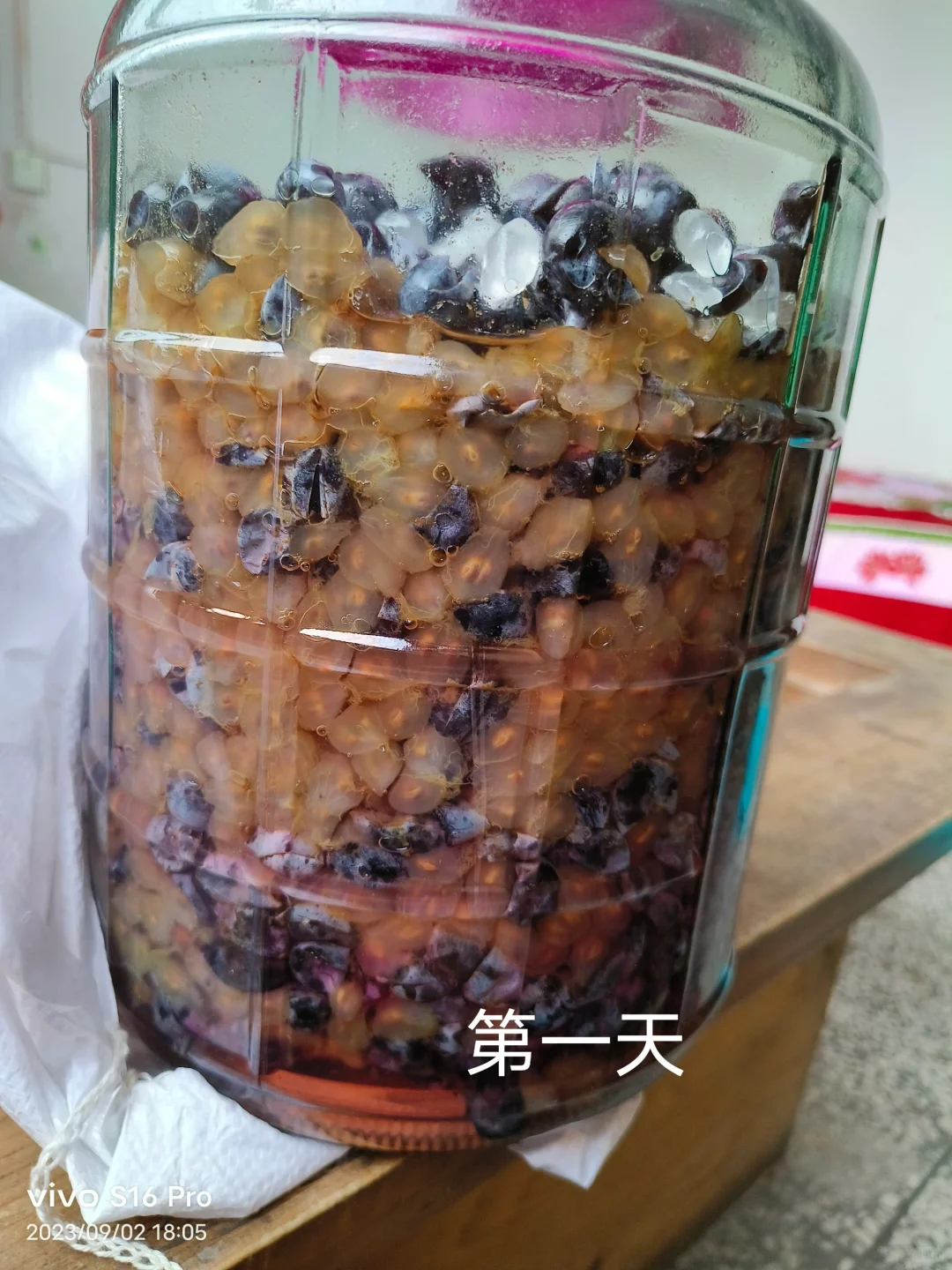 做葡萄酒发酵记录