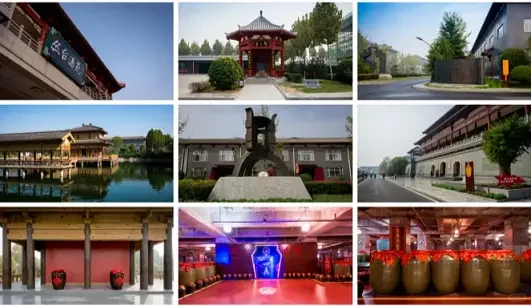 邯郸丛台酒业八十载风华！你知道它如何从明代走来？