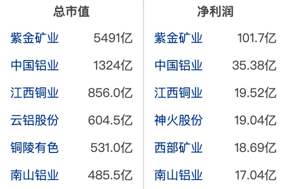 大A有色金属行业龙头