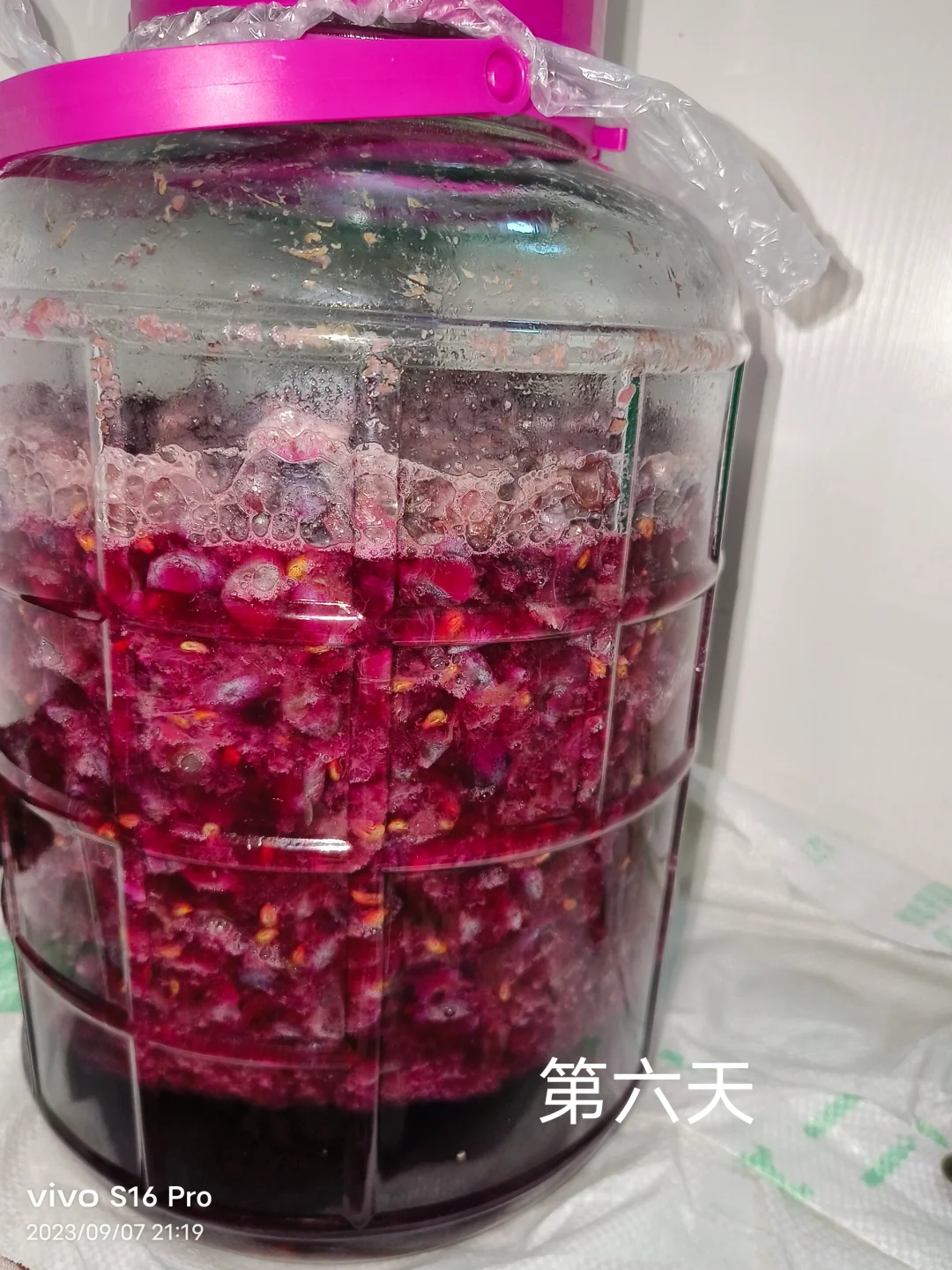 做葡萄酒发酵记录