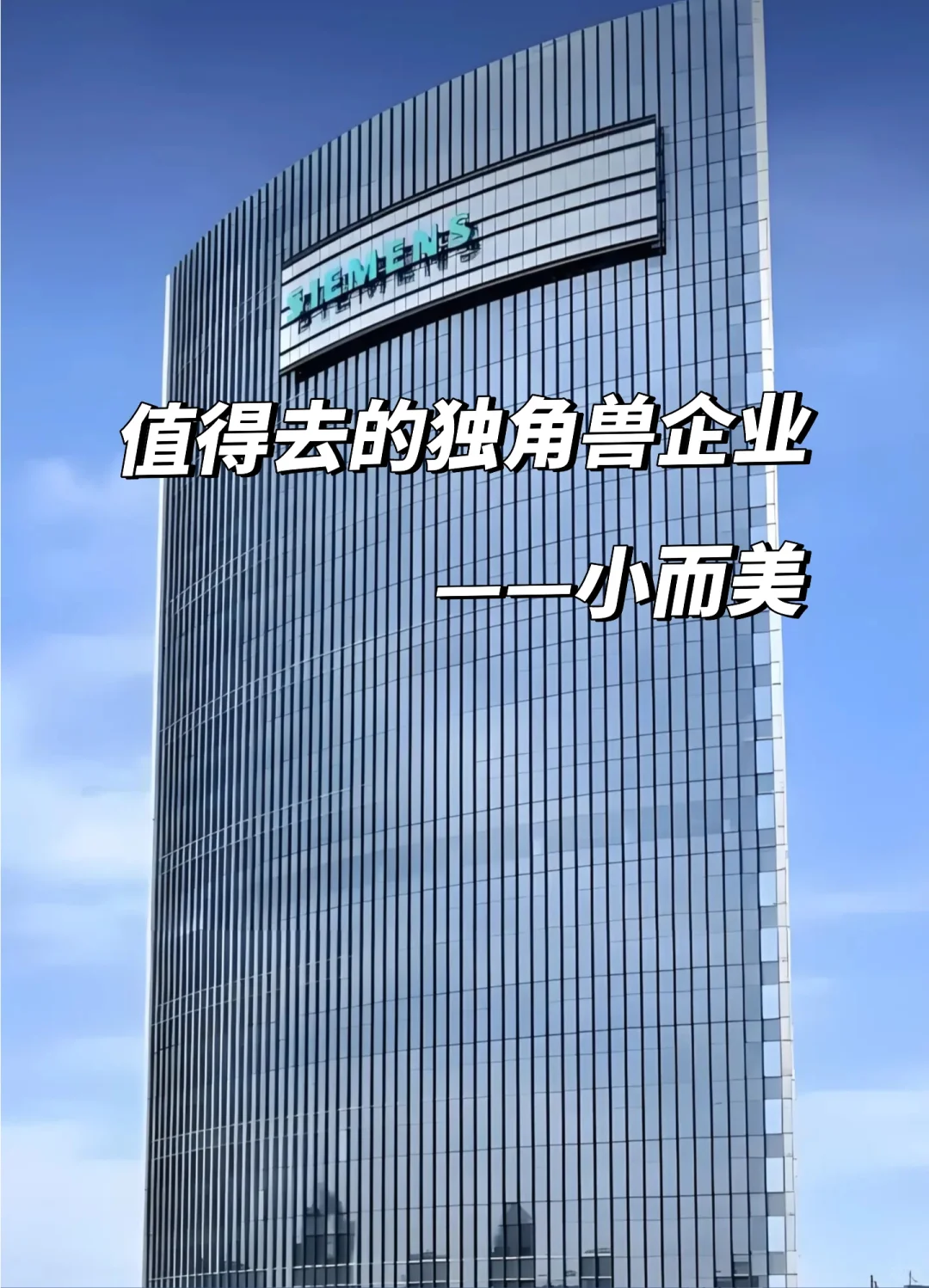 值得去的独角兽企业