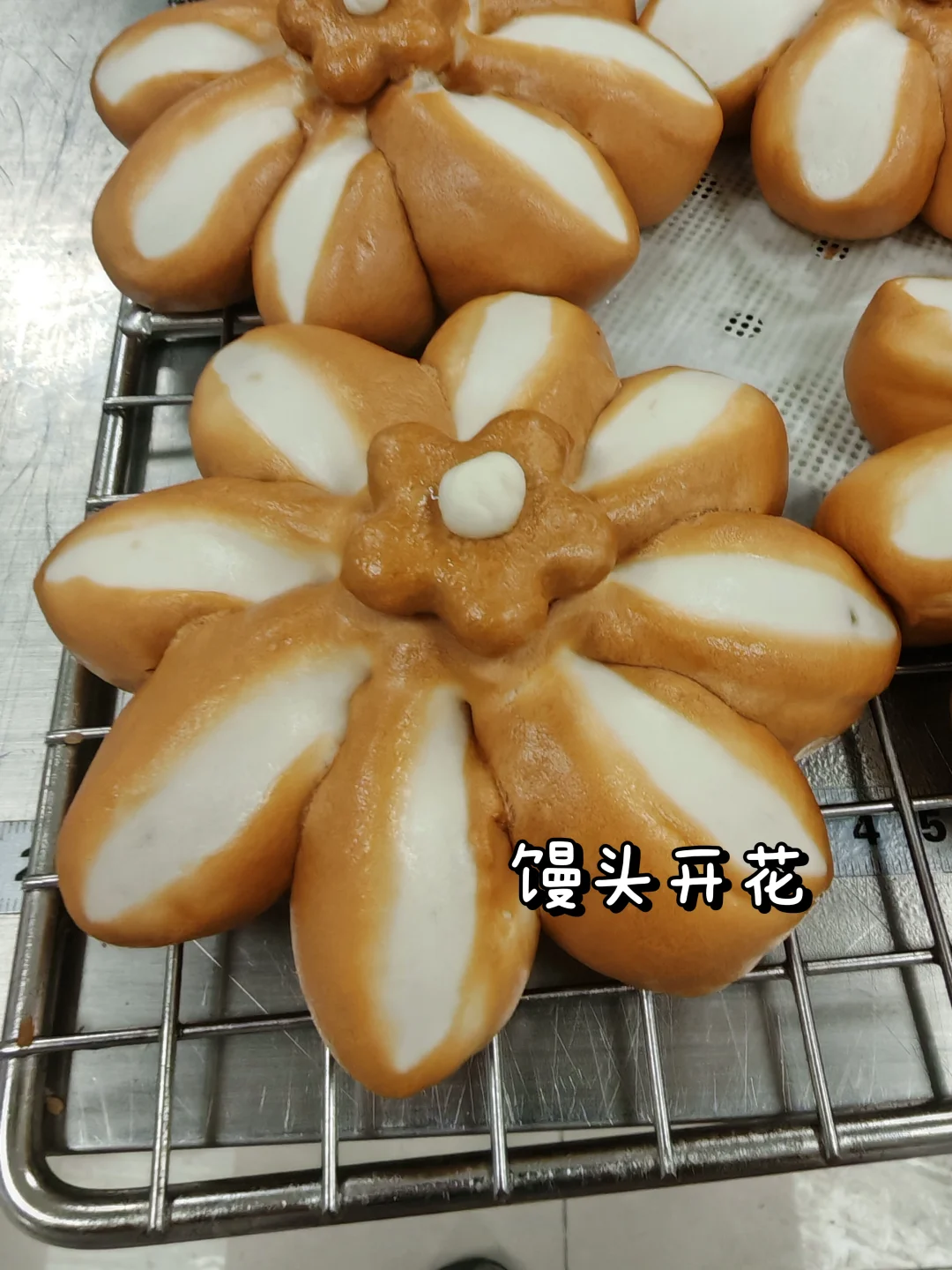 食品龙头企业研发日常|在公司偶遇同学！