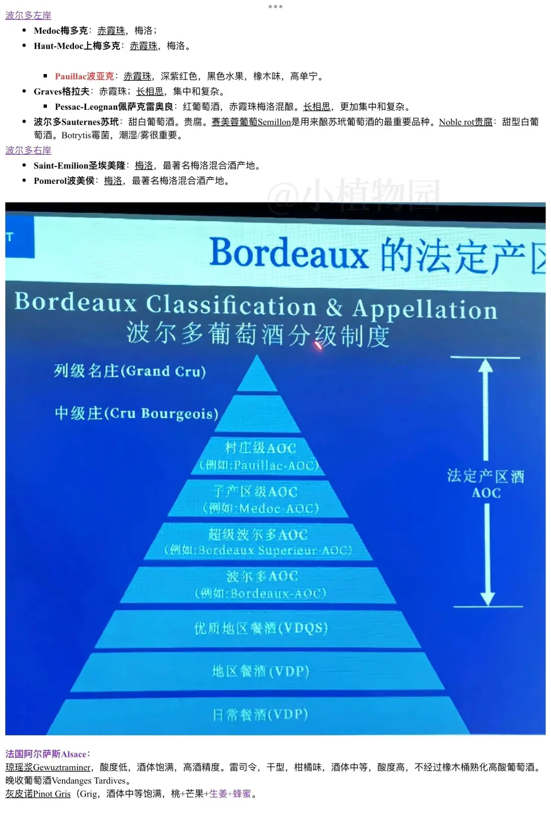 葡萄酒考级必备知识点总结～高分通过！