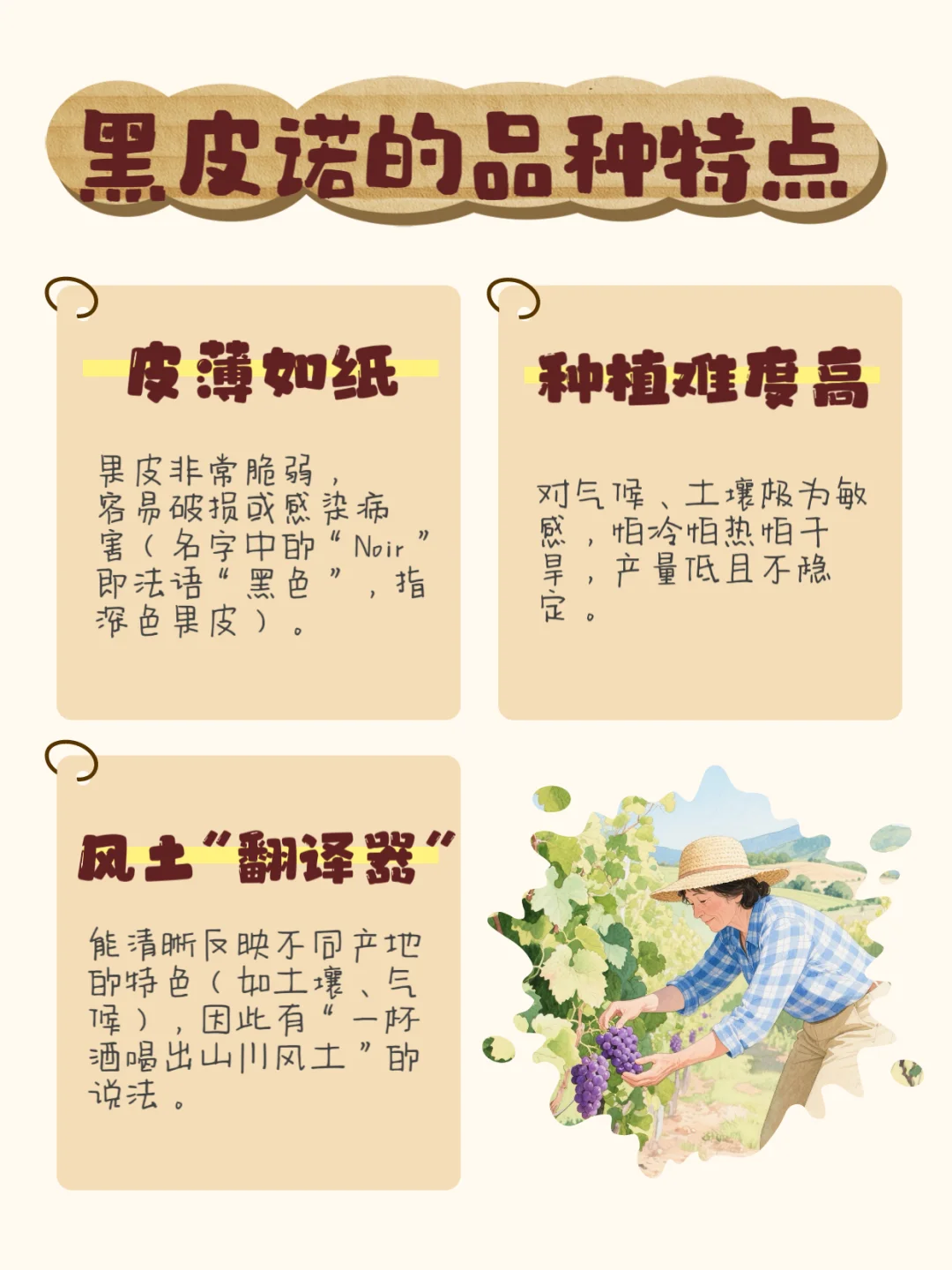 ?一篇了解黑皮诺！你喝过买过吗？