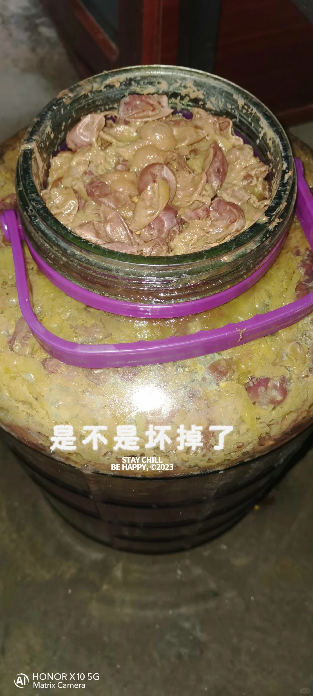 第一次自酿葡萄酒今天第六天。