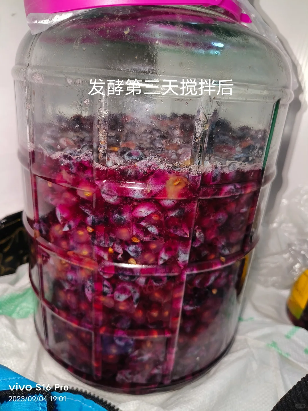 做葡萄酒发酵记录