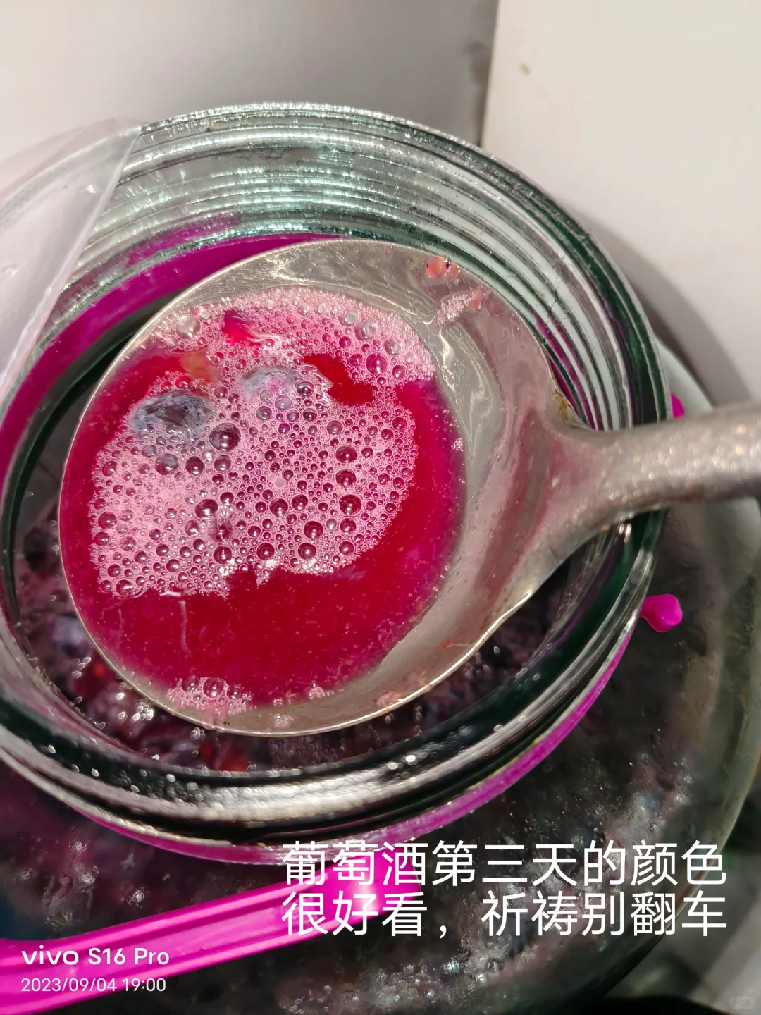做葡萄酒发酵记录