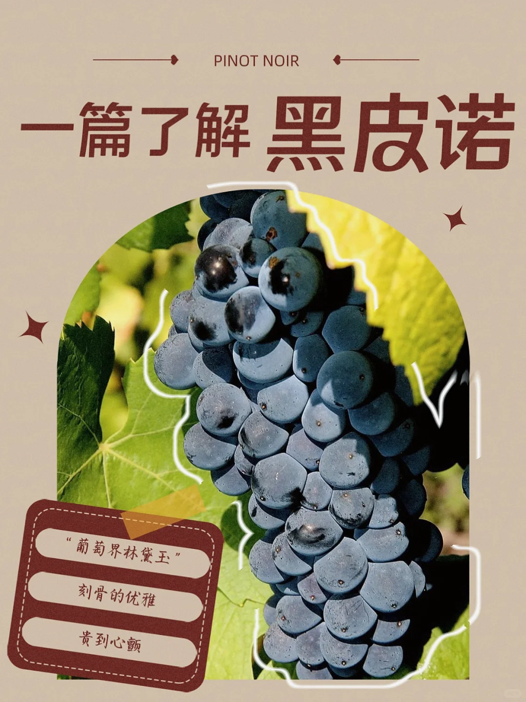 ?一篇了解黑皮诺！你喝过买过吗？