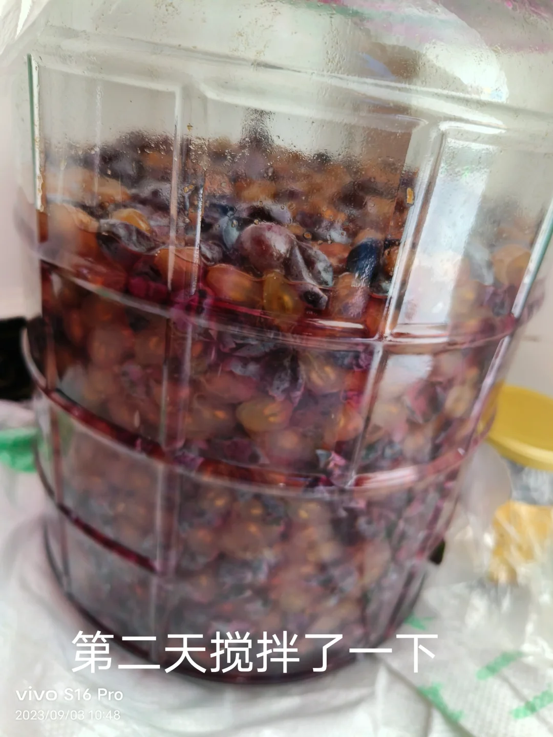 做葡萄酒发酵记录