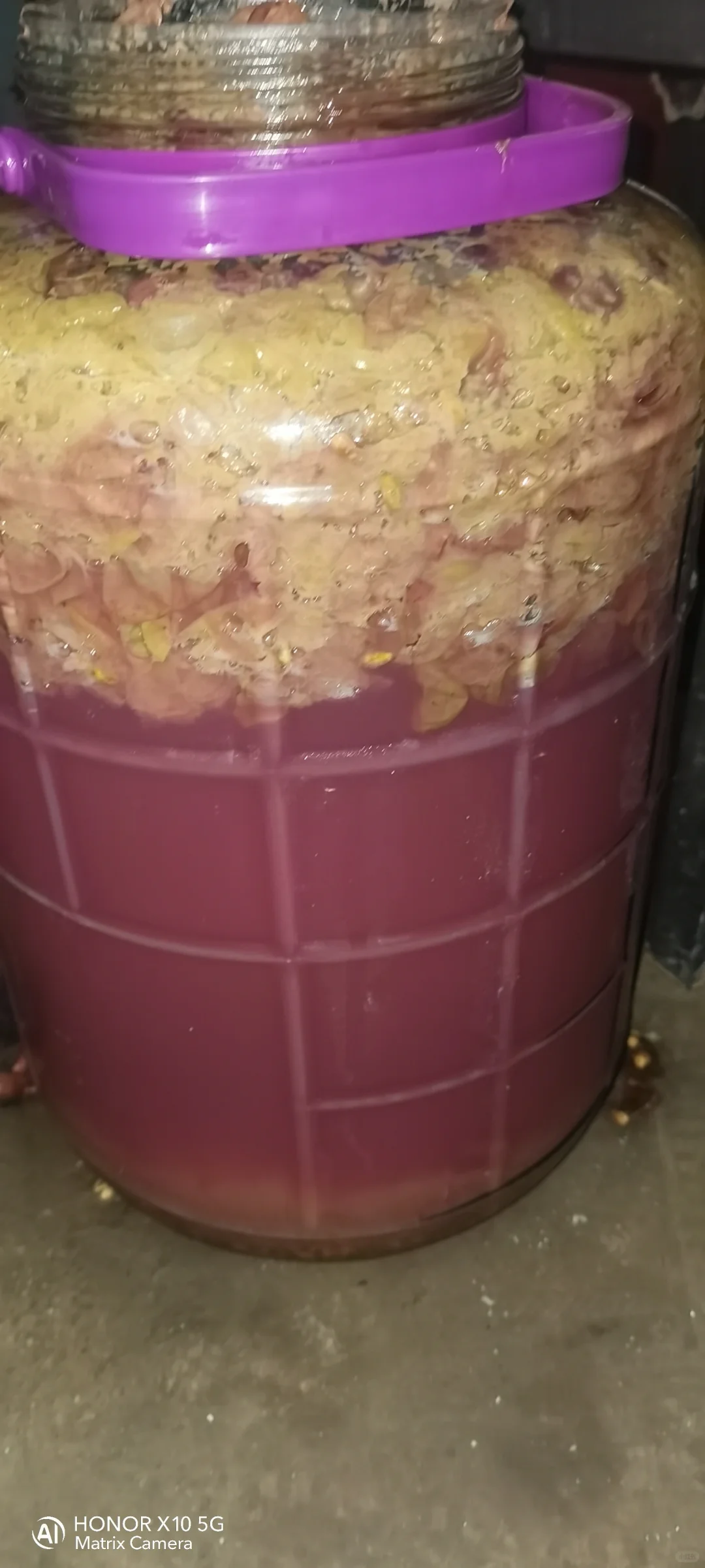 第一次自酿葡萄酒今天第六天。