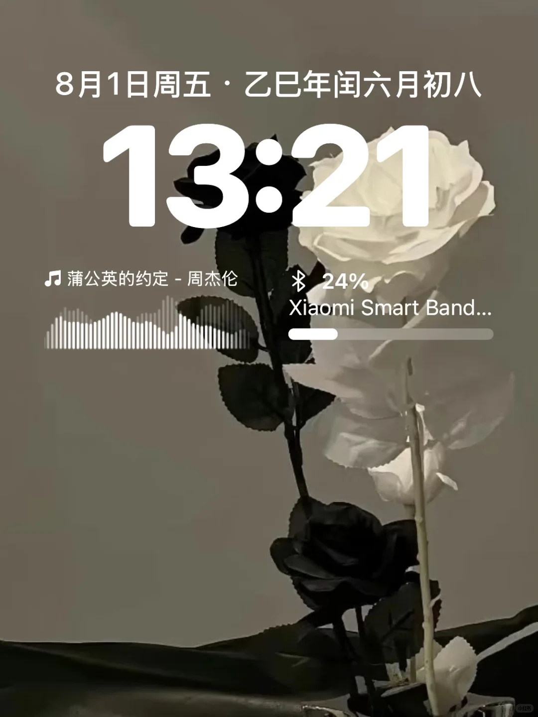 ?新人博主plog｜?午后微醺的松弛感?