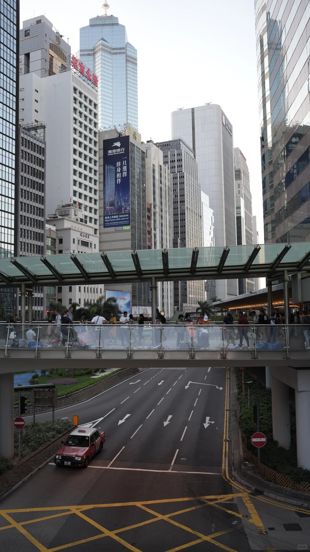 在HK做新媒体是一片蓝海