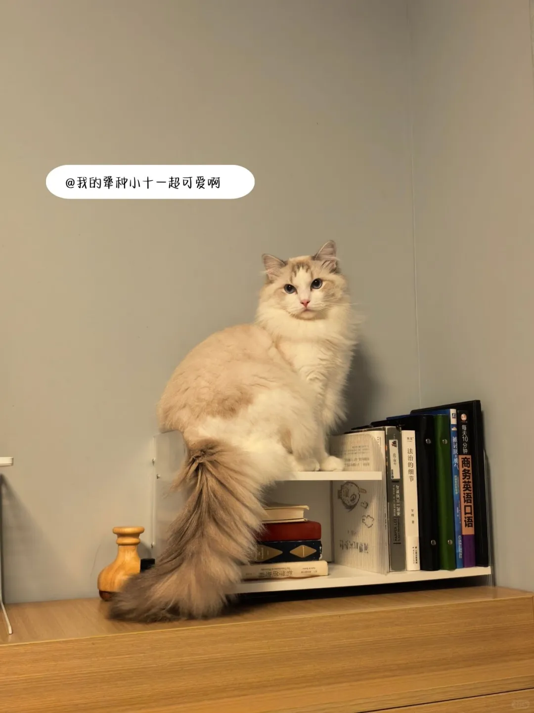 月薪1W+的企业文化人到底是怎么做的？