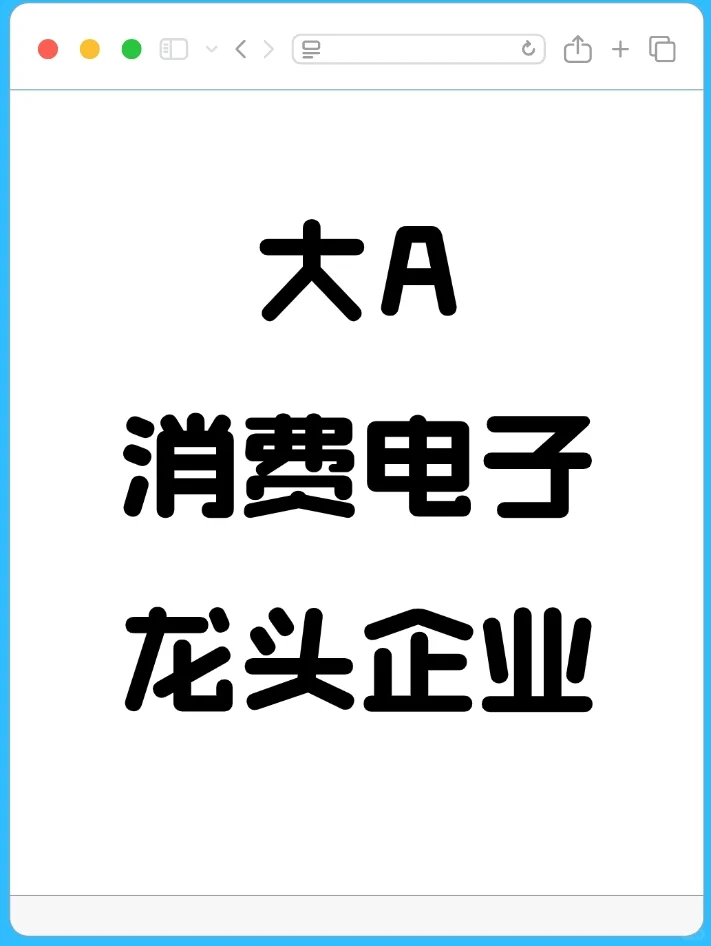 大A消费电子行业龙头