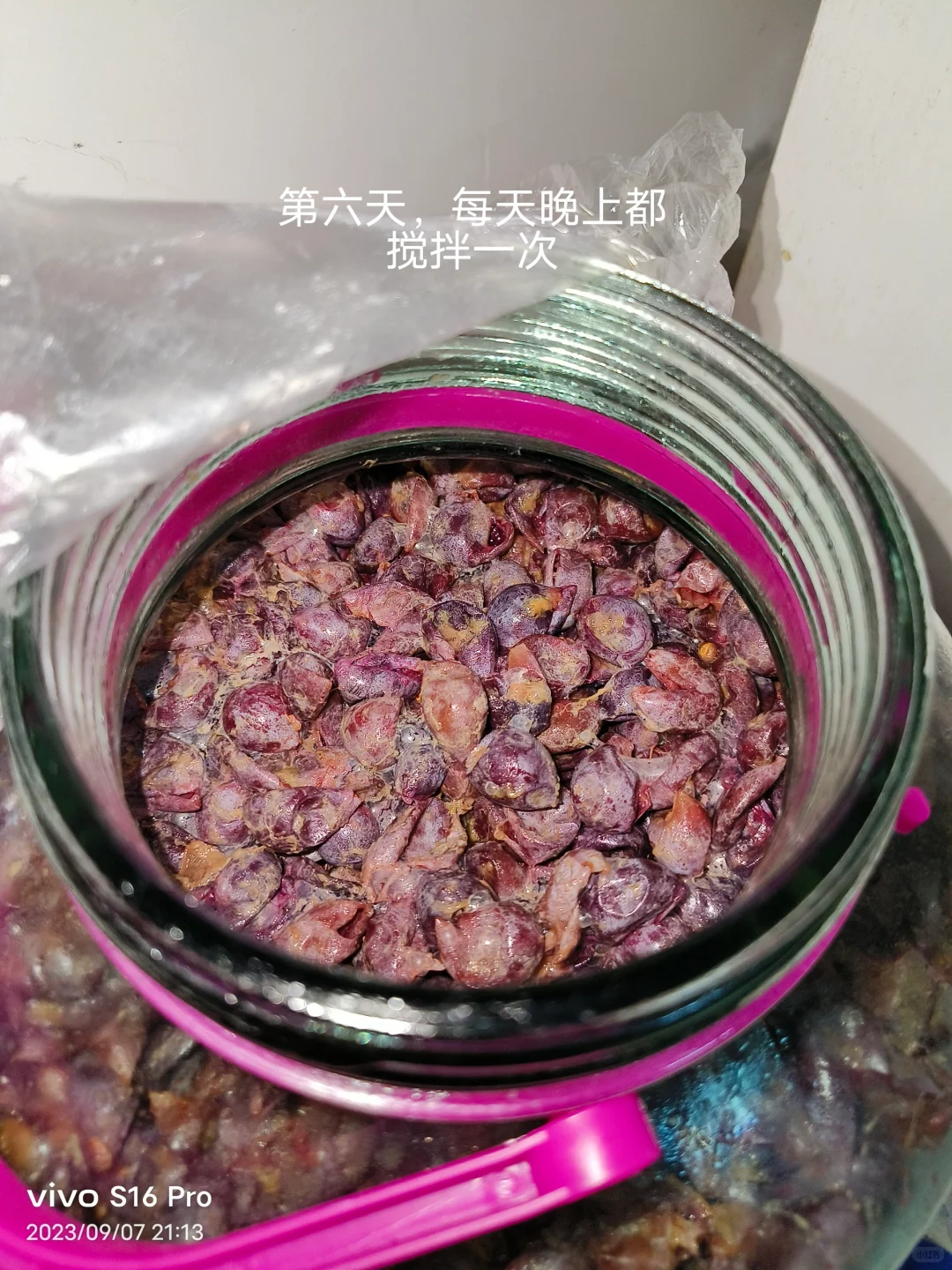 做葡萄酒发酵记录