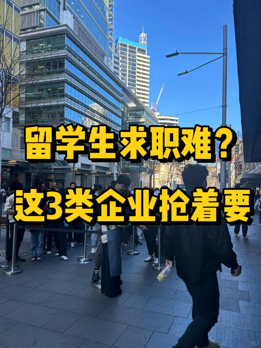 留学生求职难？ 这3类企业抢着要