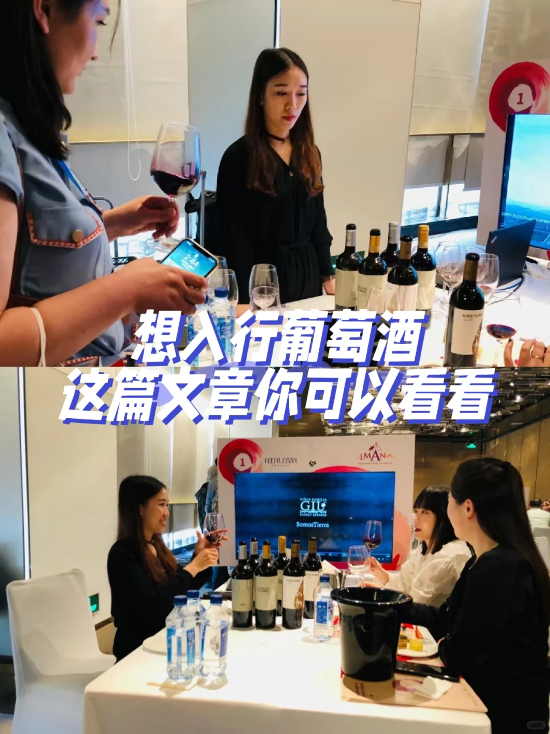 ?给想入行葡萄酒的新手说说我的看法：