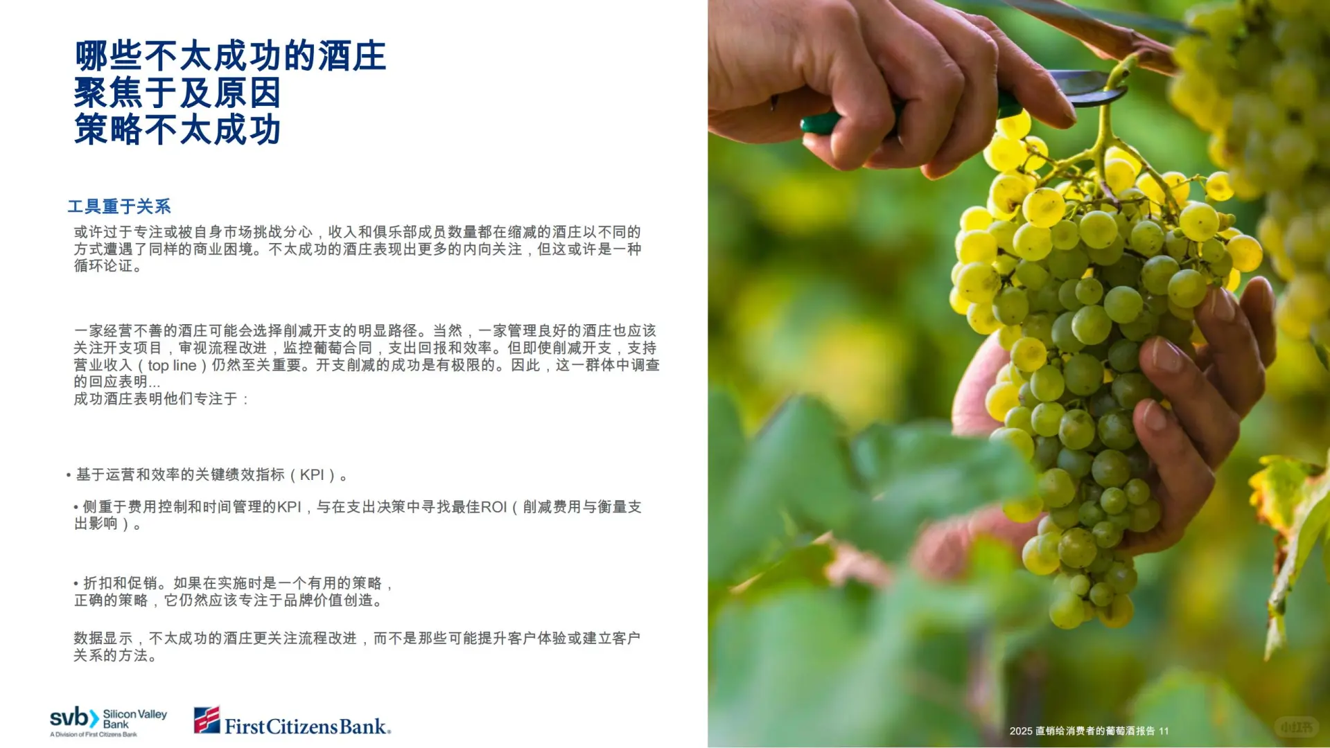 #2025 直销葡萄酒报告｜DtC 占 70%?