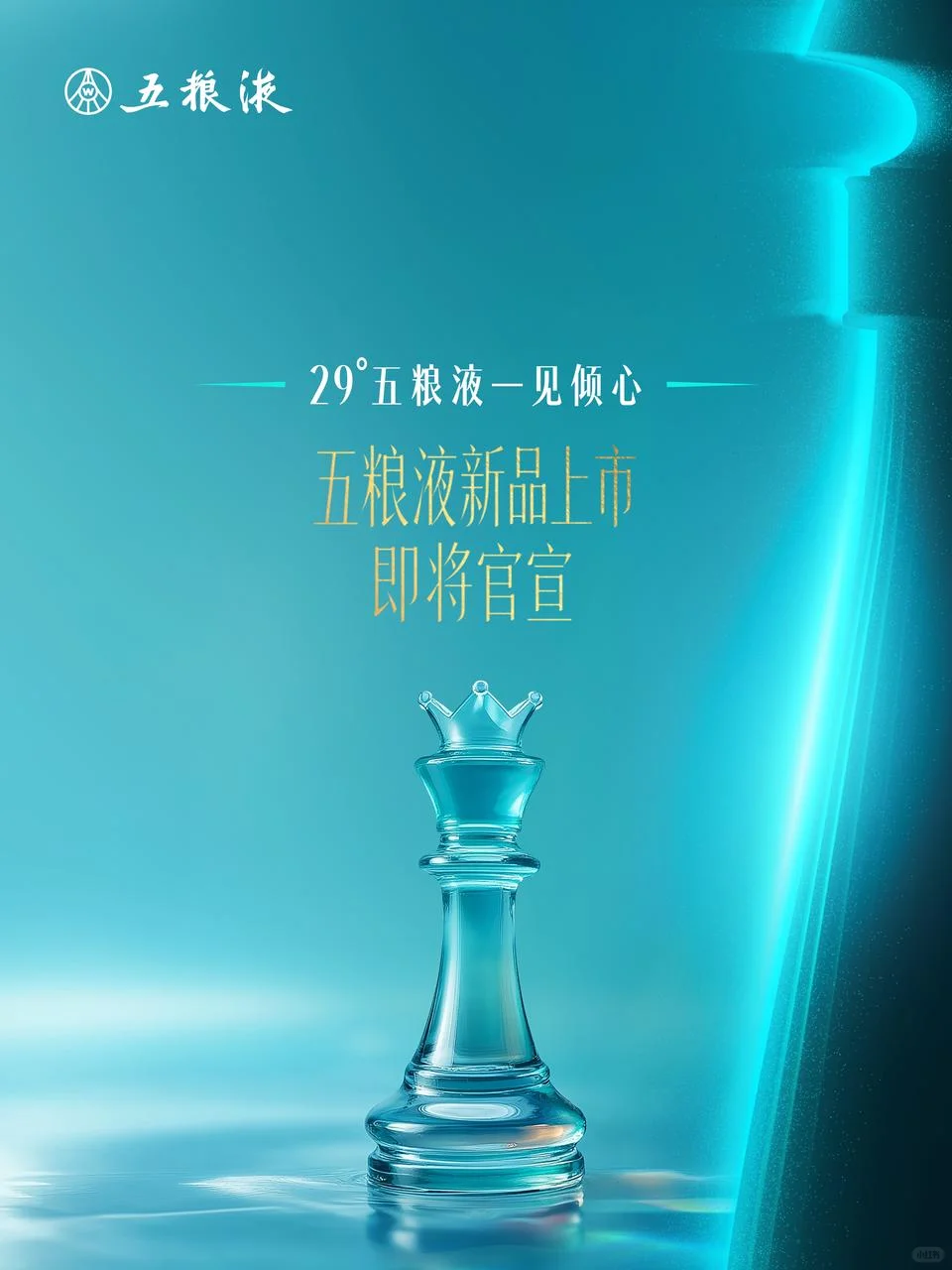 酒圈新成员来了，不愧是浓香大佬?丨好期待