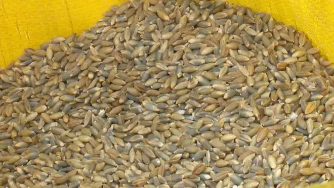 破局白酒行业寒冬：从18°蓝稞酒看“健康+社