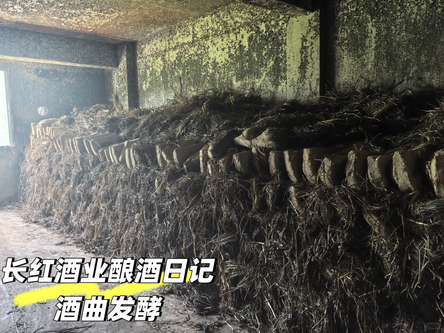 酱香白酒的165个工艺