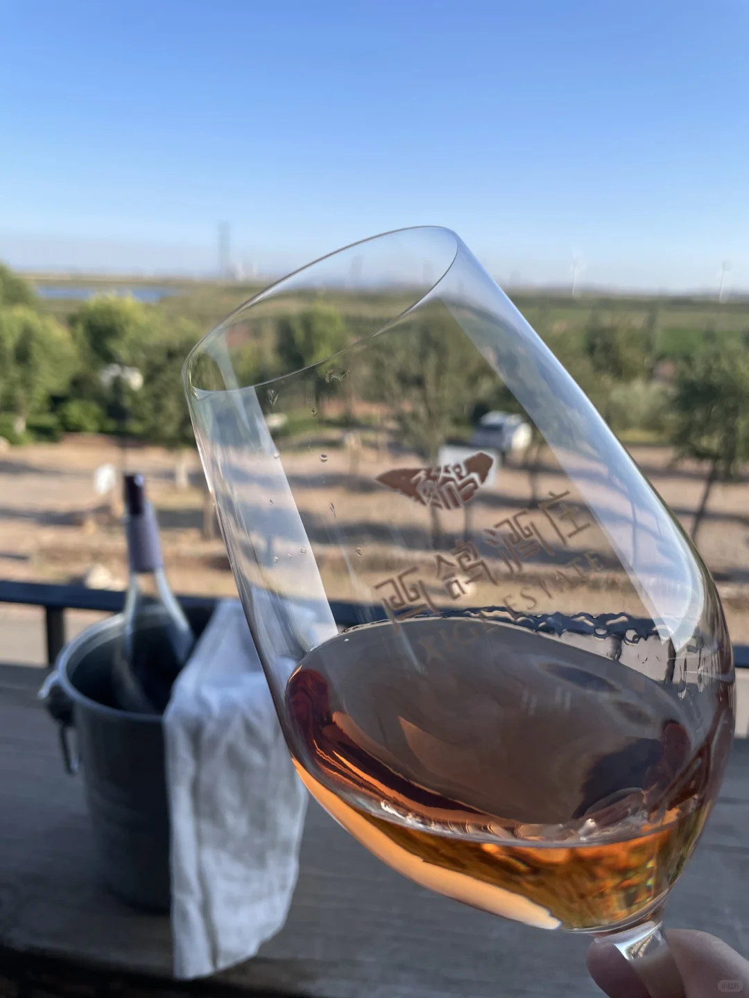宁夏之旅：寻找极品葡萄酒的栖息地