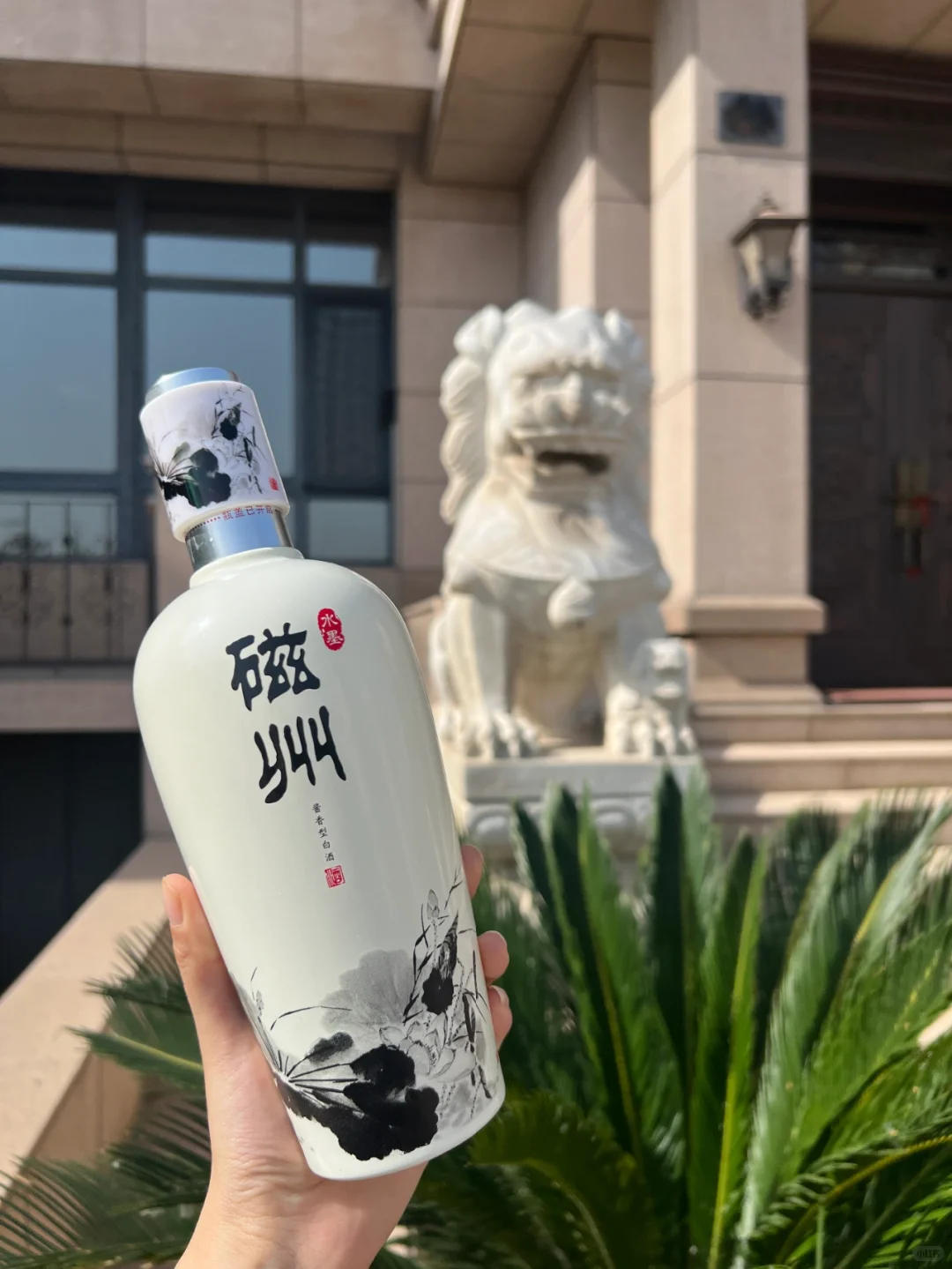 磁州酒你礼貌吗