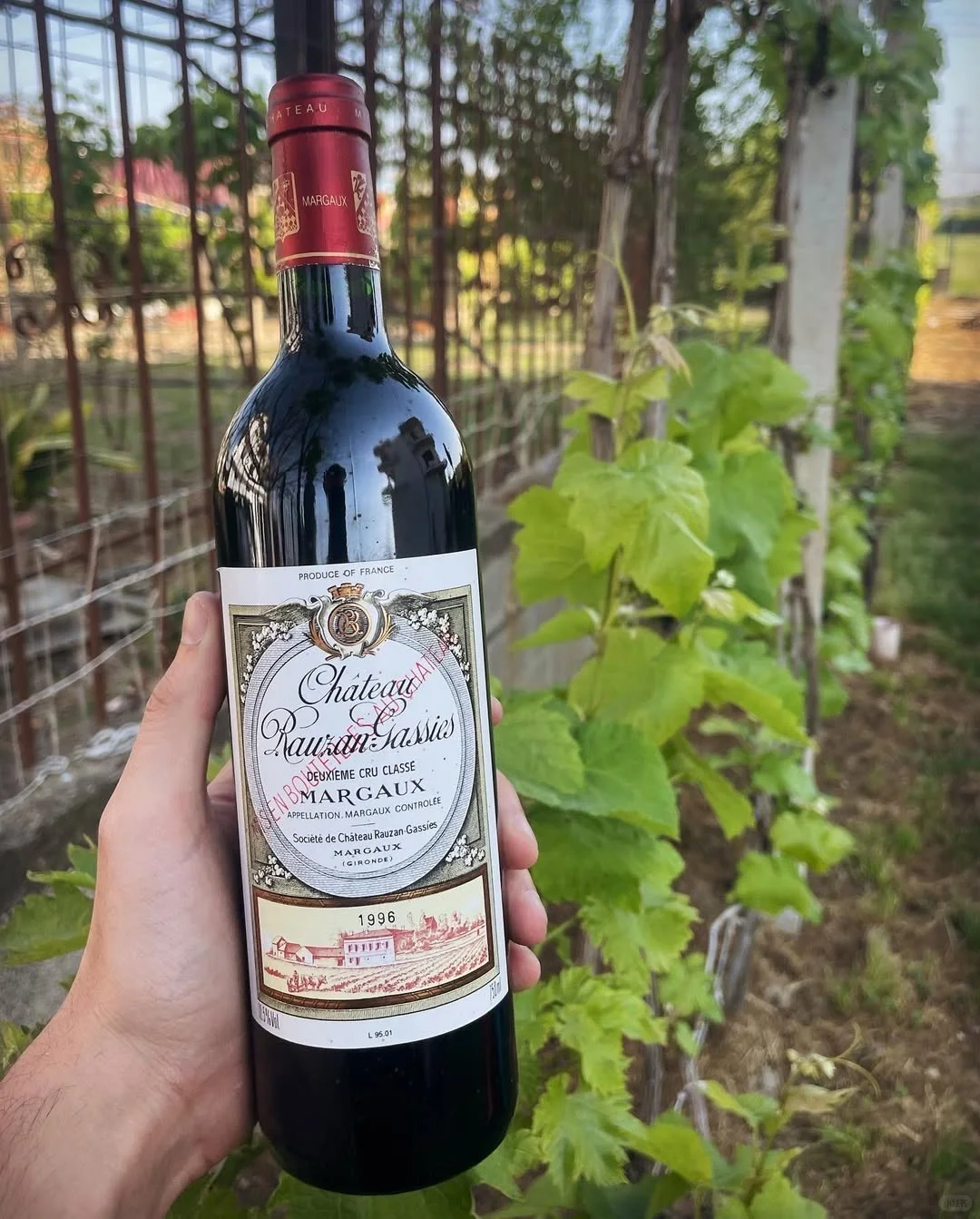 致 每一位葡萄酒爱好者