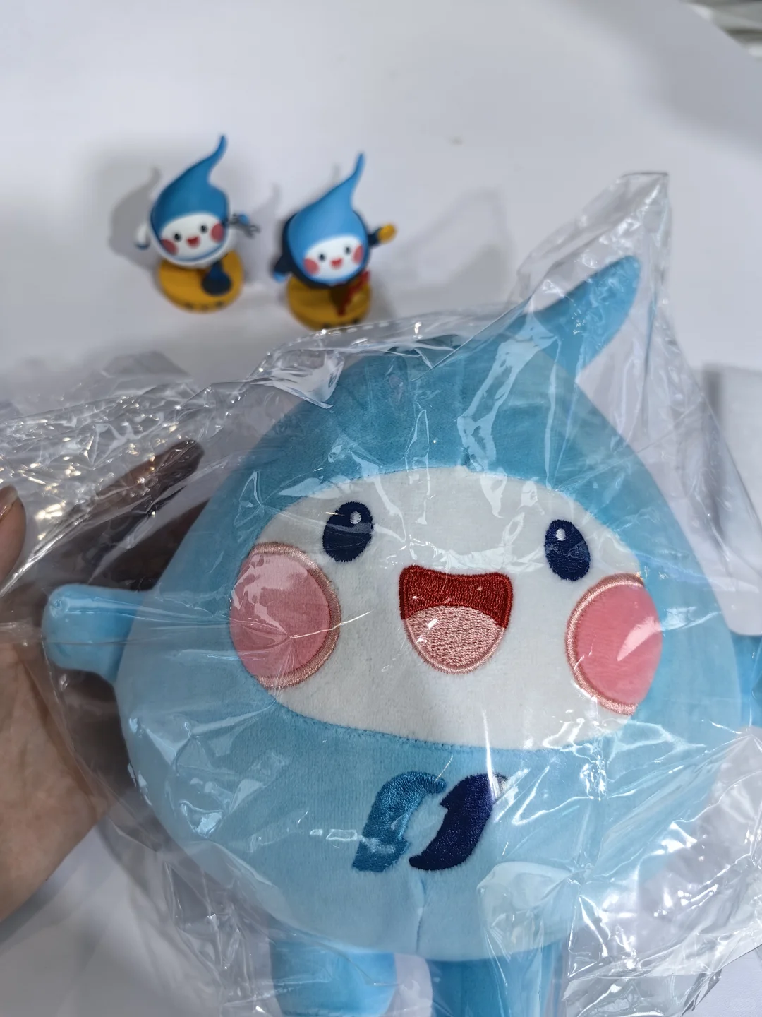 中蒙博览会薅羊毛攻略