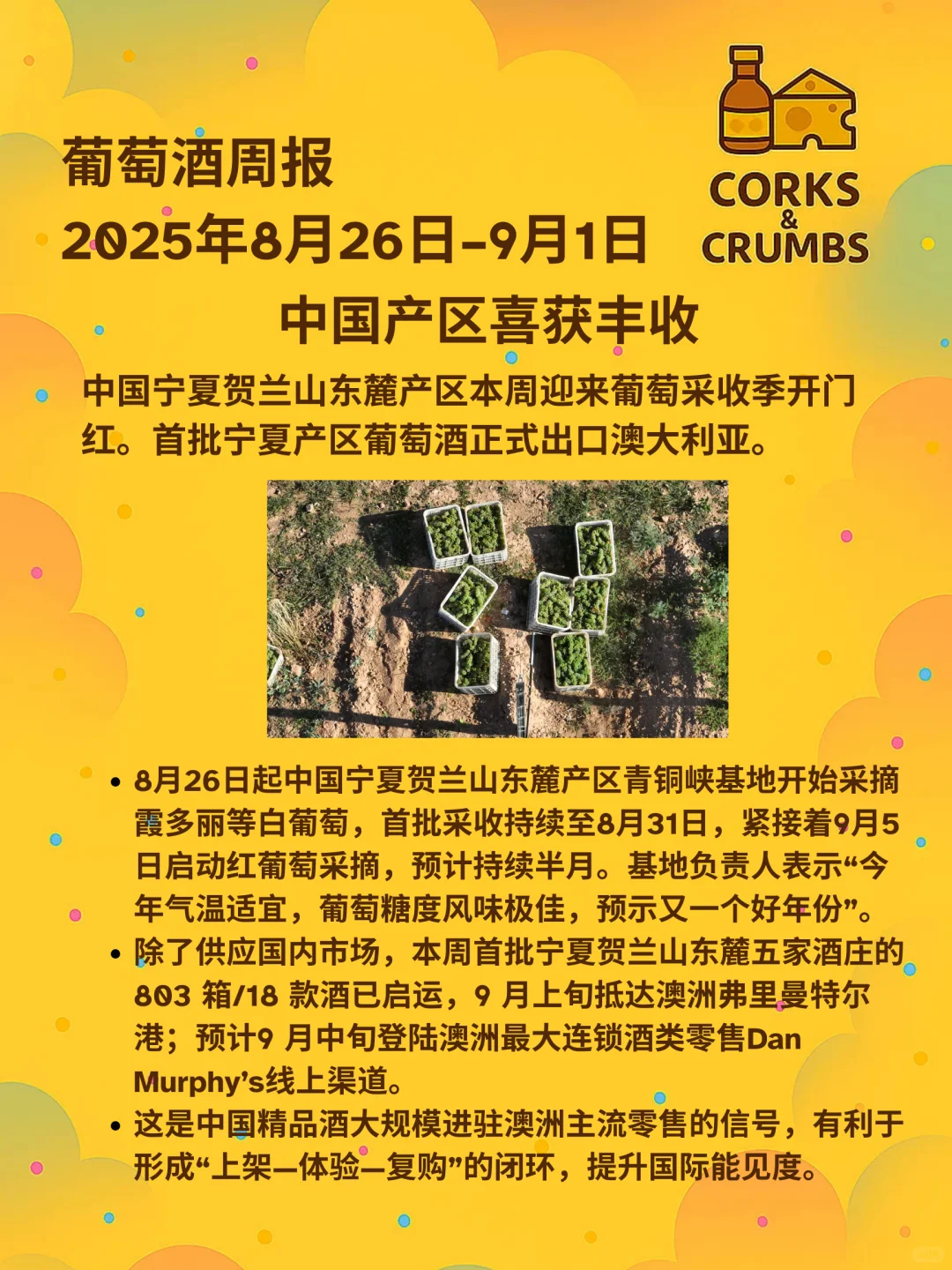 Corky葡萄酒周报 ｜2025.09.01