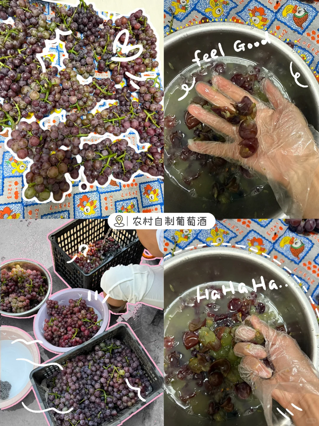 到了酿葡萄酒的季节