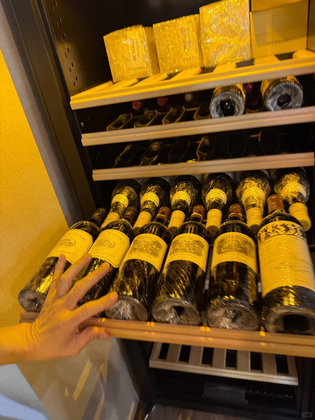 拉图红酒我也是喝上了