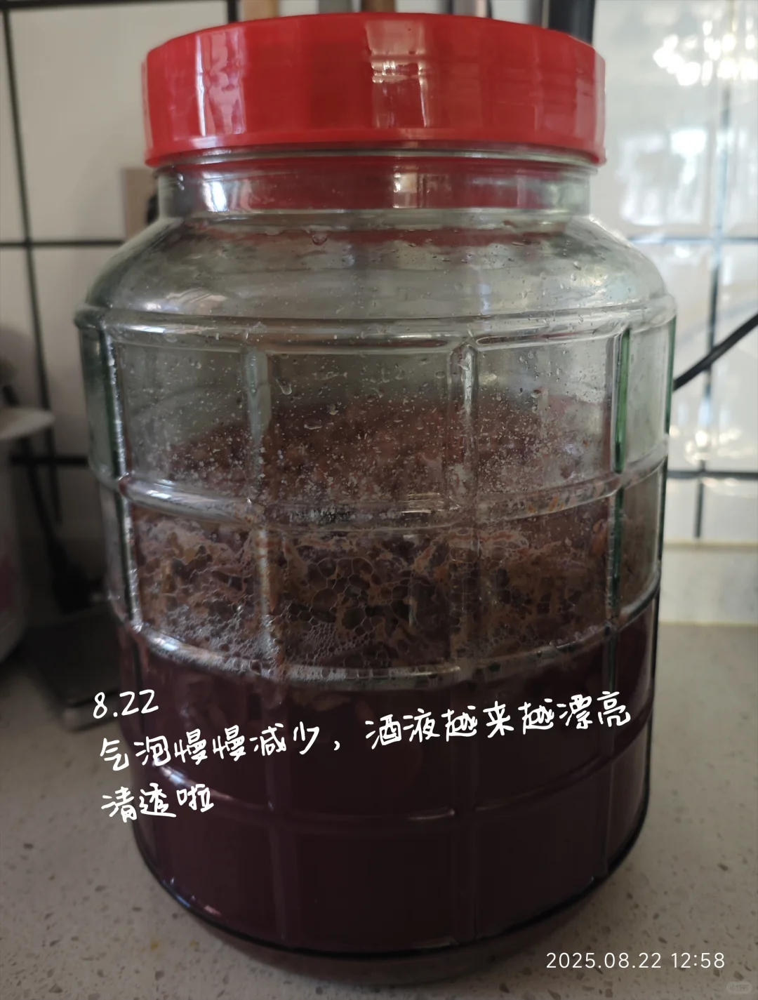 自酿葡萄酒?第一次就成功啦！！！