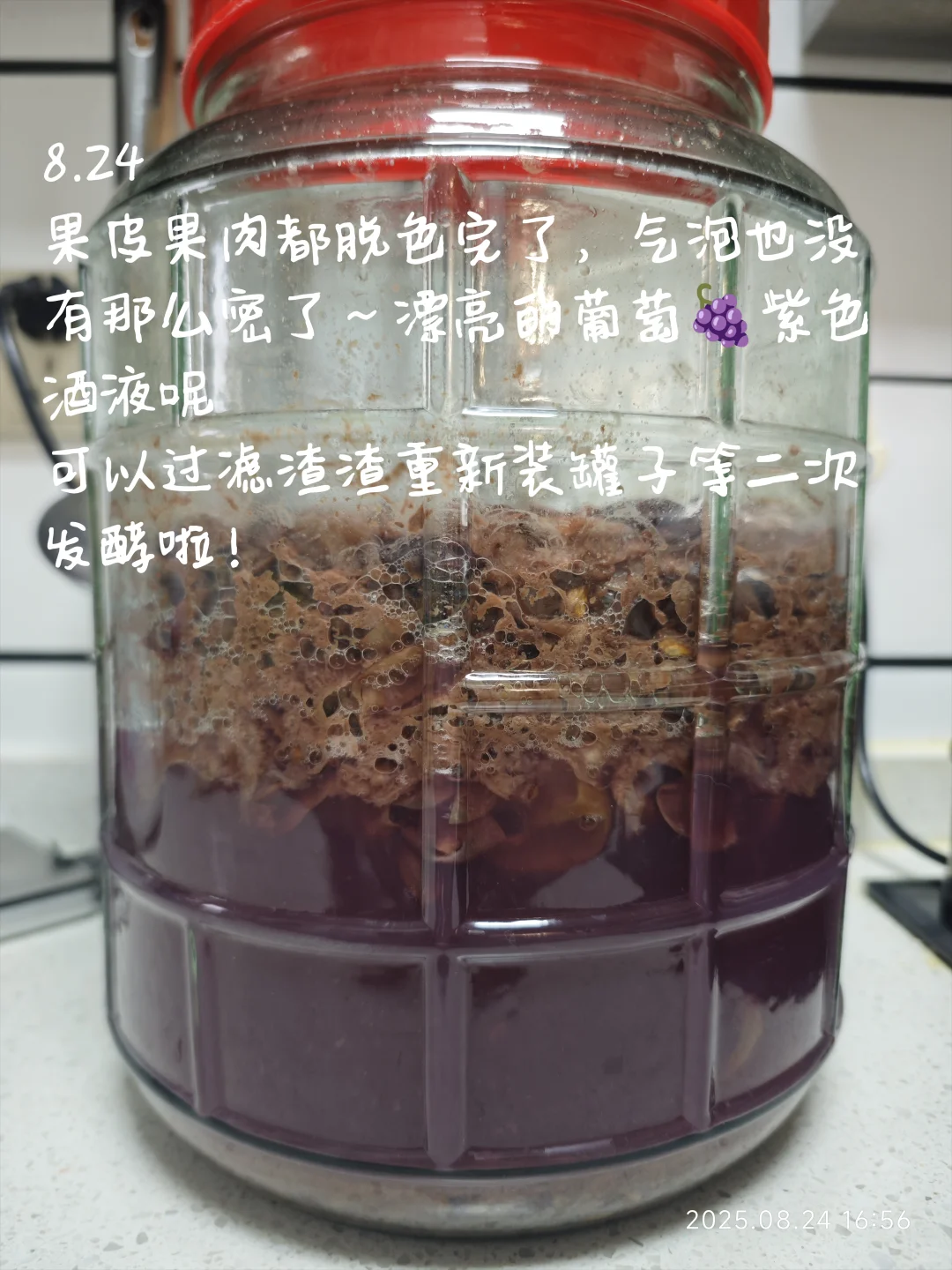 自酿葡萄酒?第一次就成功啦！！！