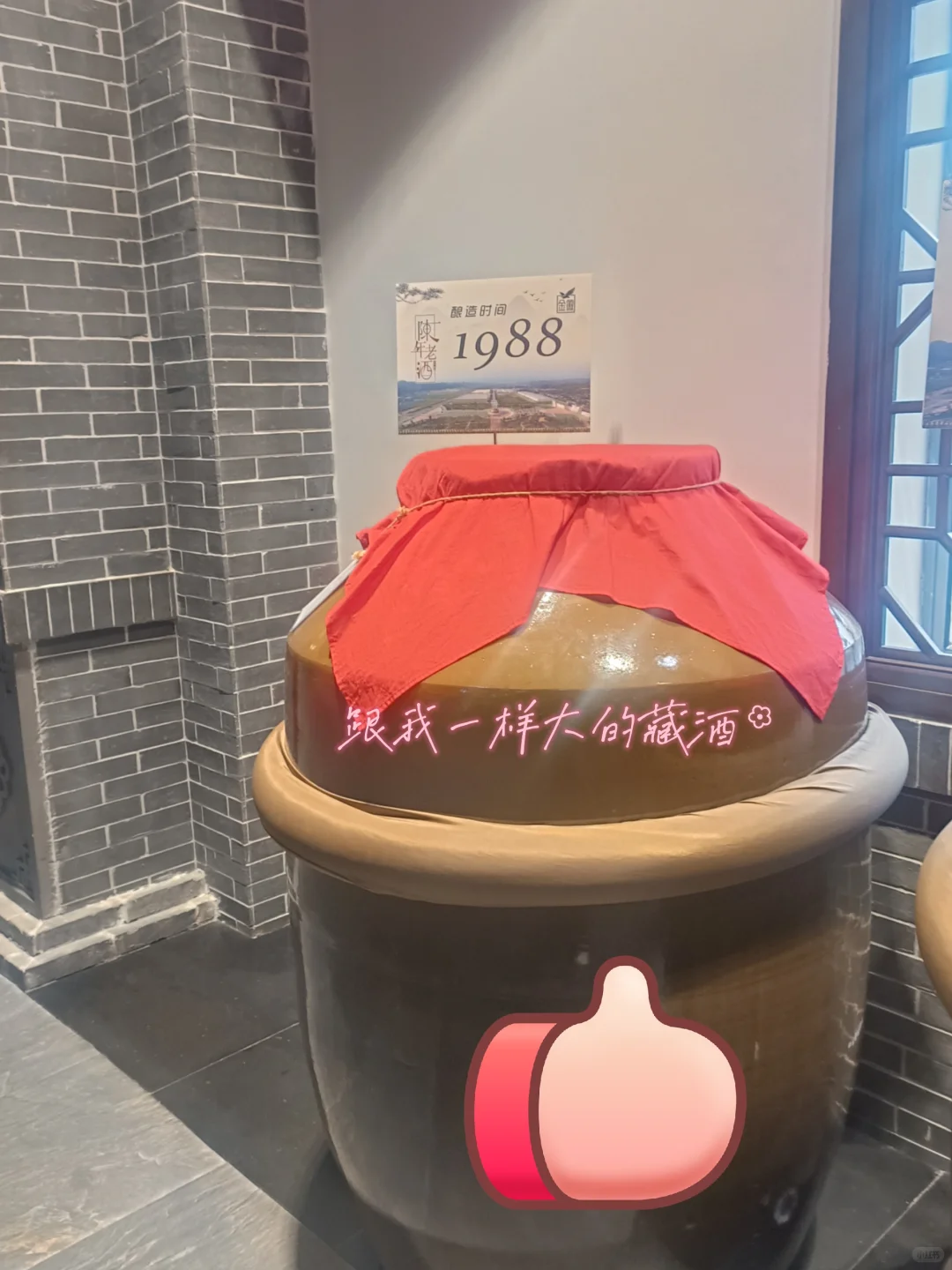 参观酒厂/听说这是老一辈的骄傲！?