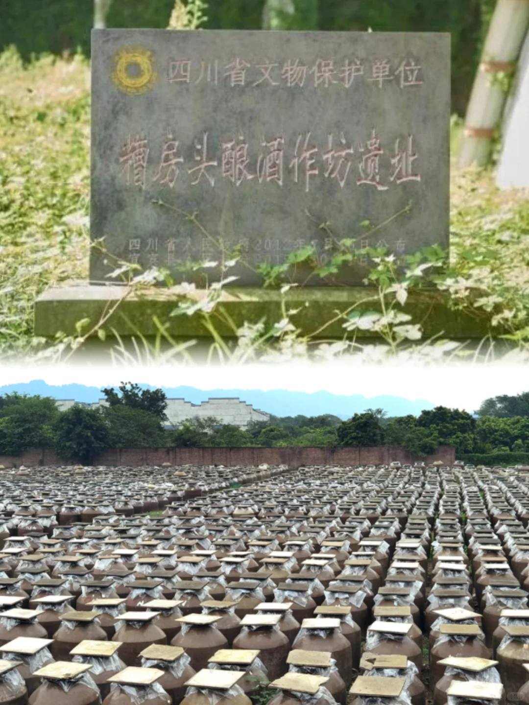 这些大名鼎鼎的酒文化博物馆,你去过几家?