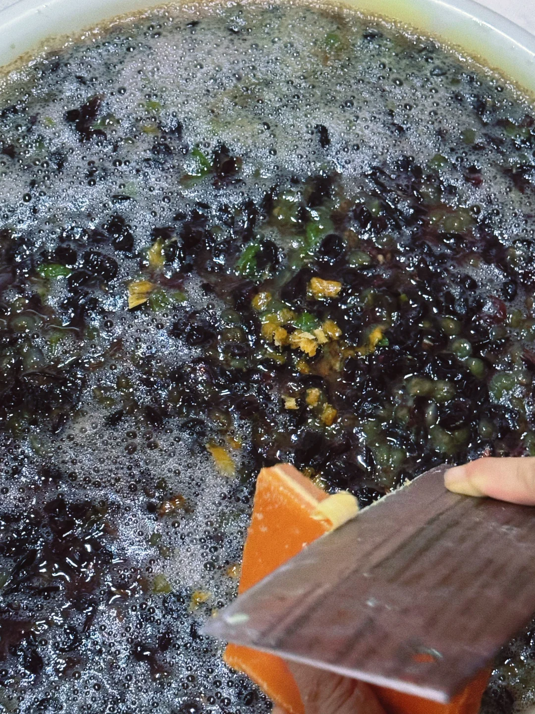 plog day31｜家庭酿酒小记✨ ?