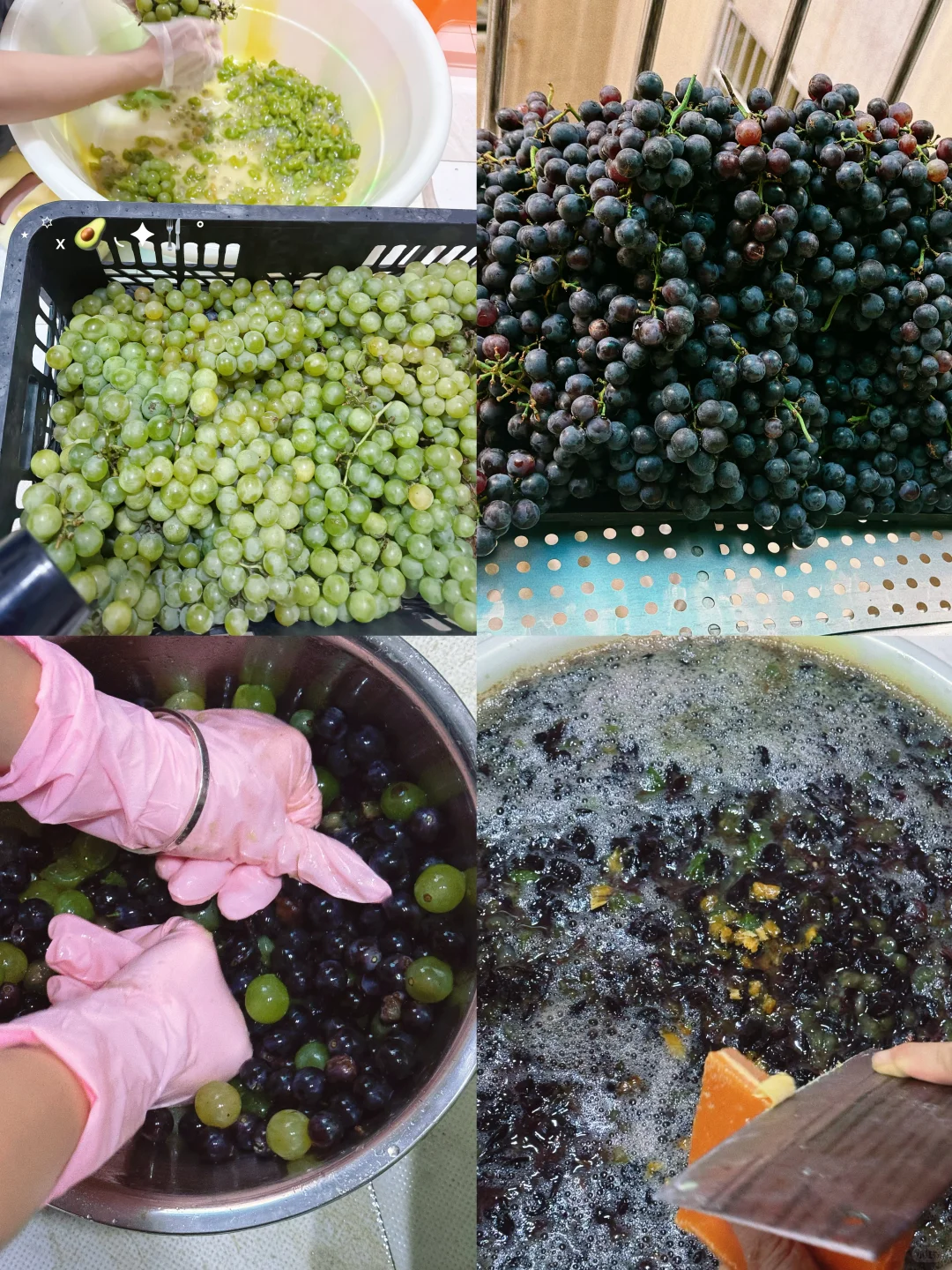 plog day31｜家庭酿酒小记✨ ?