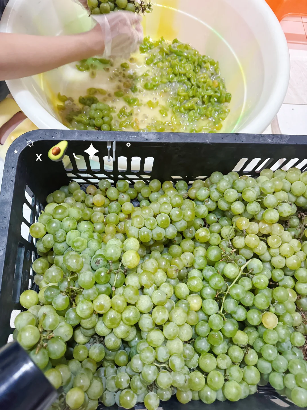 plog day31｜家庭酿酒小记✨ ?