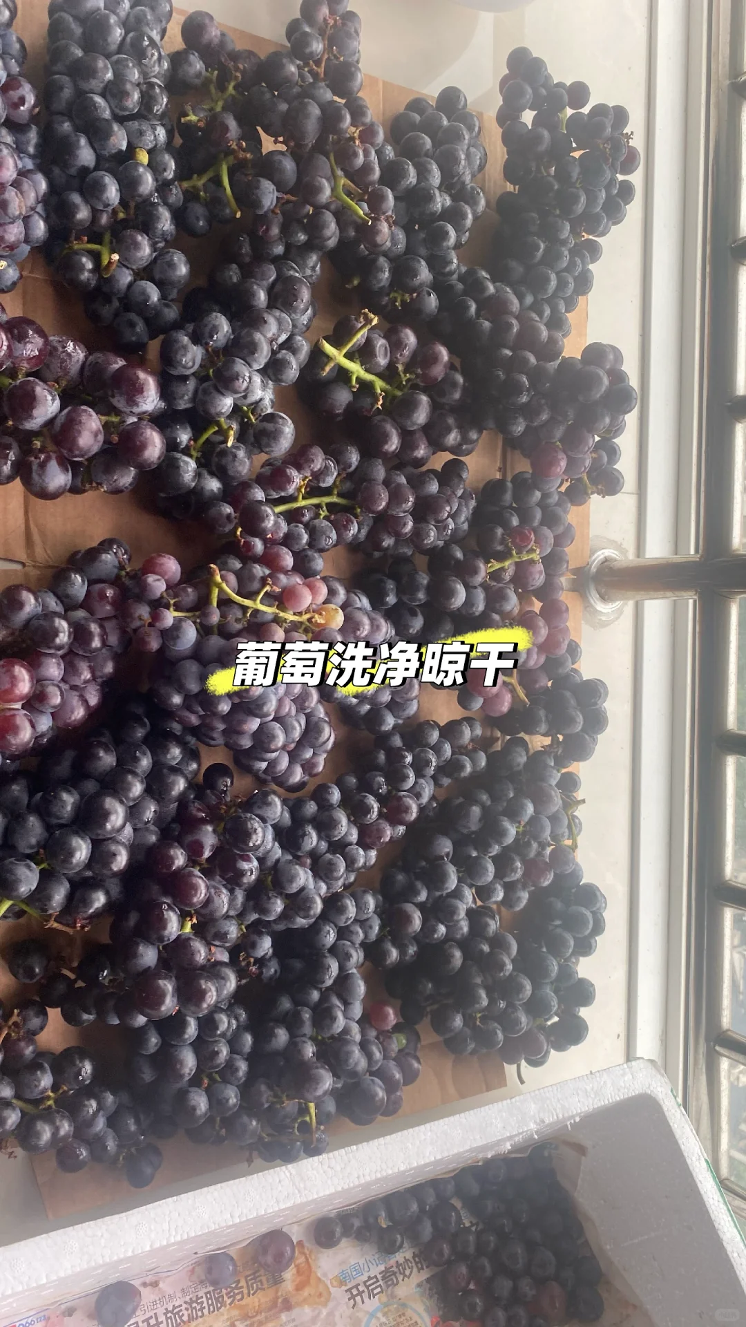 自酿葡萄酒一次成功