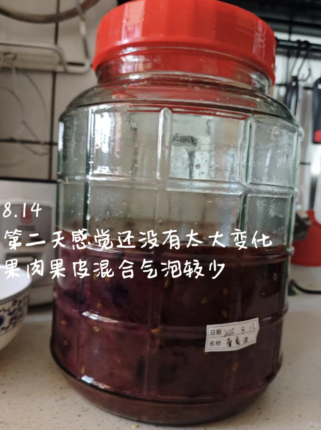 自酿葡萄酒?第一次就成功啦！！！