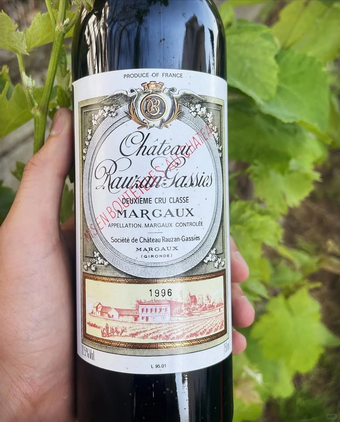 致 每一位葡萄酒爱好者