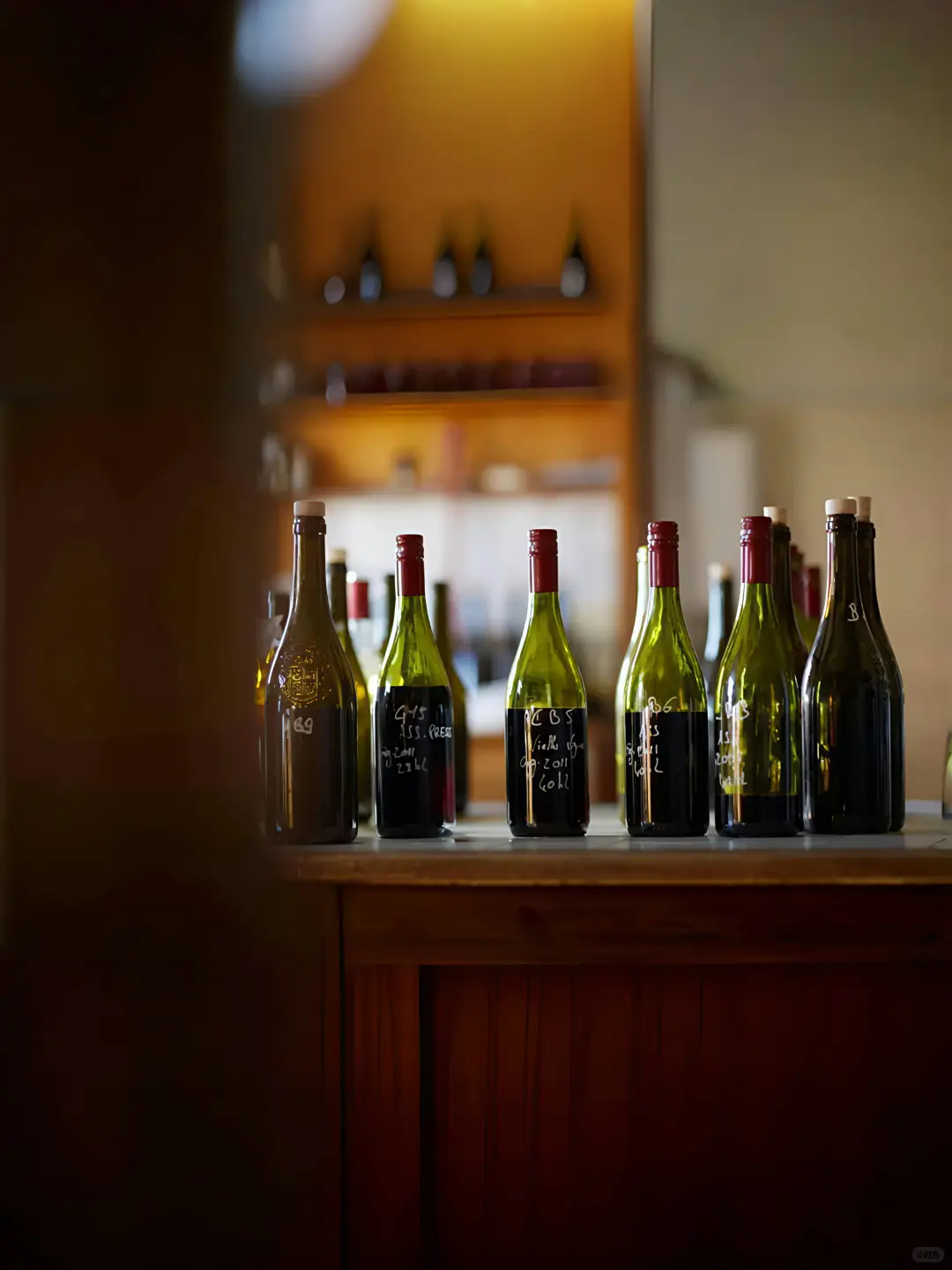 ?美酒进行时！揭秘葡萄酒的酿造过程