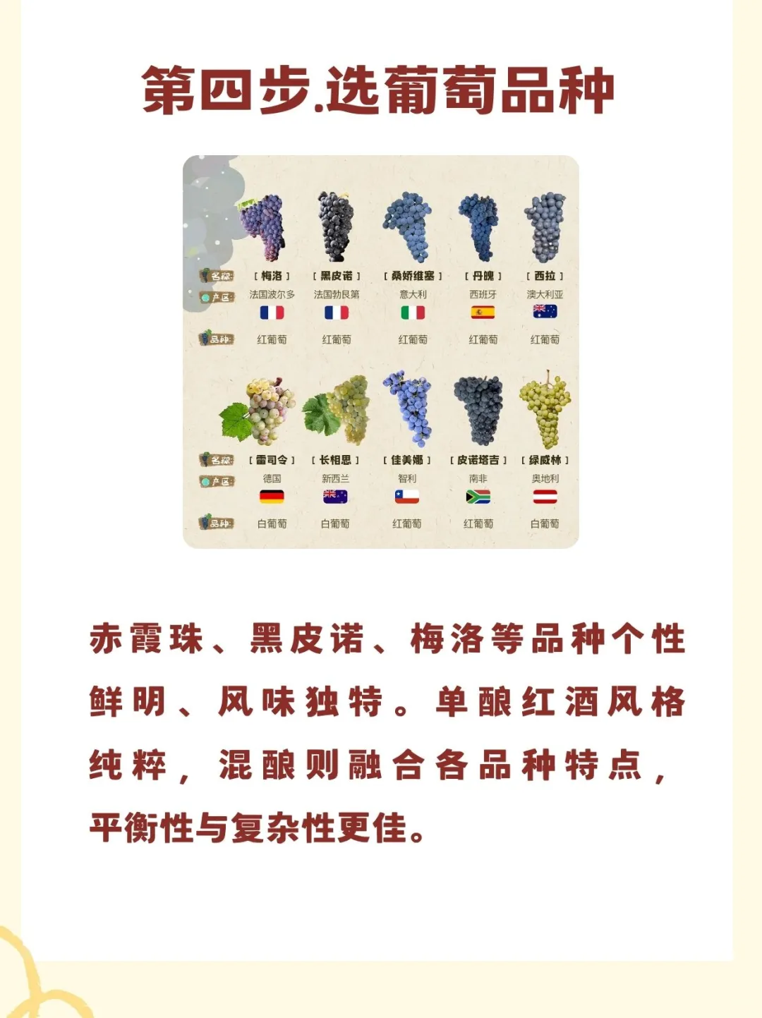 红酒冷知识|入门篇?