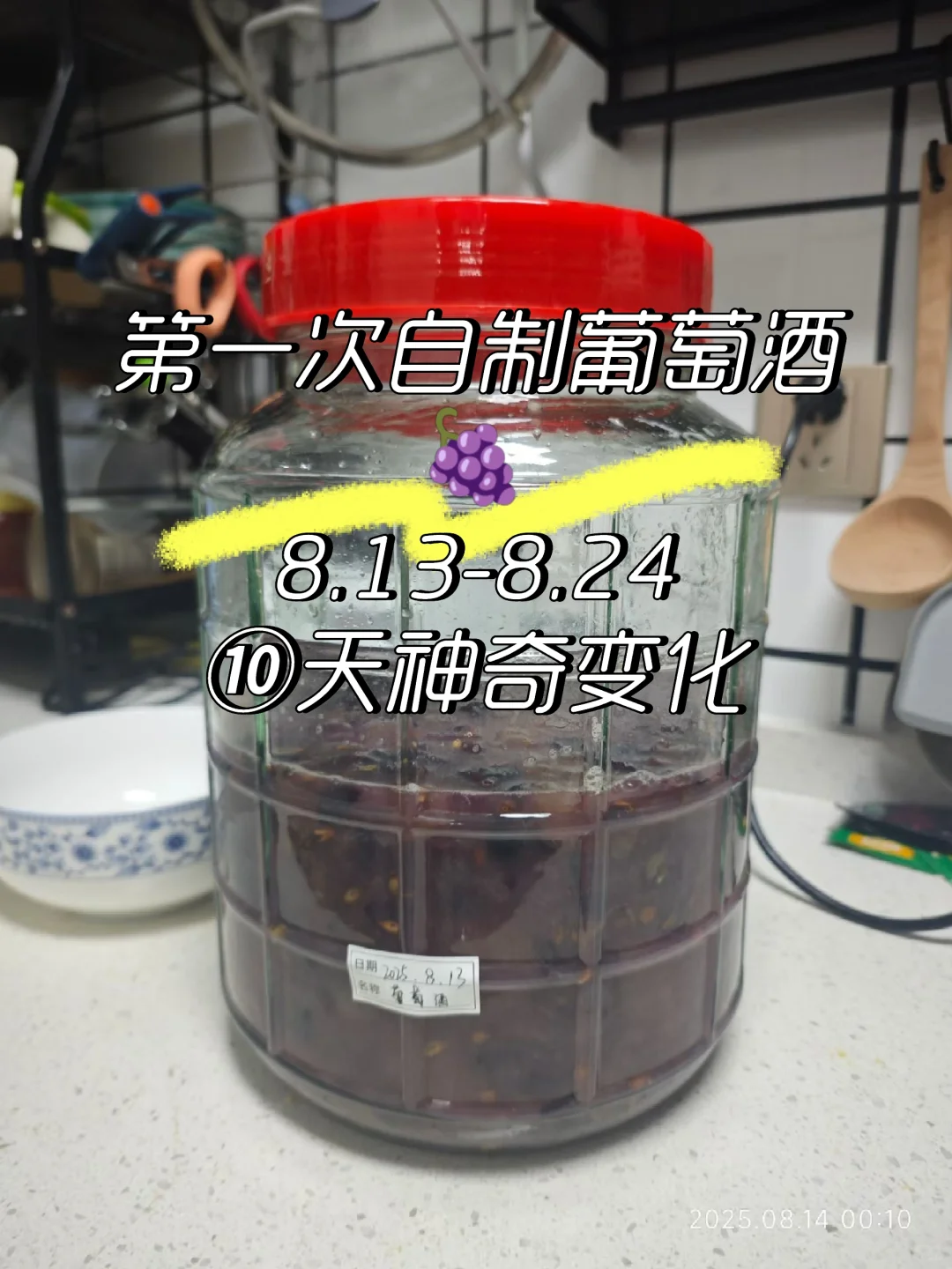 自酿葡萄酒?第一次就成功啦！！！