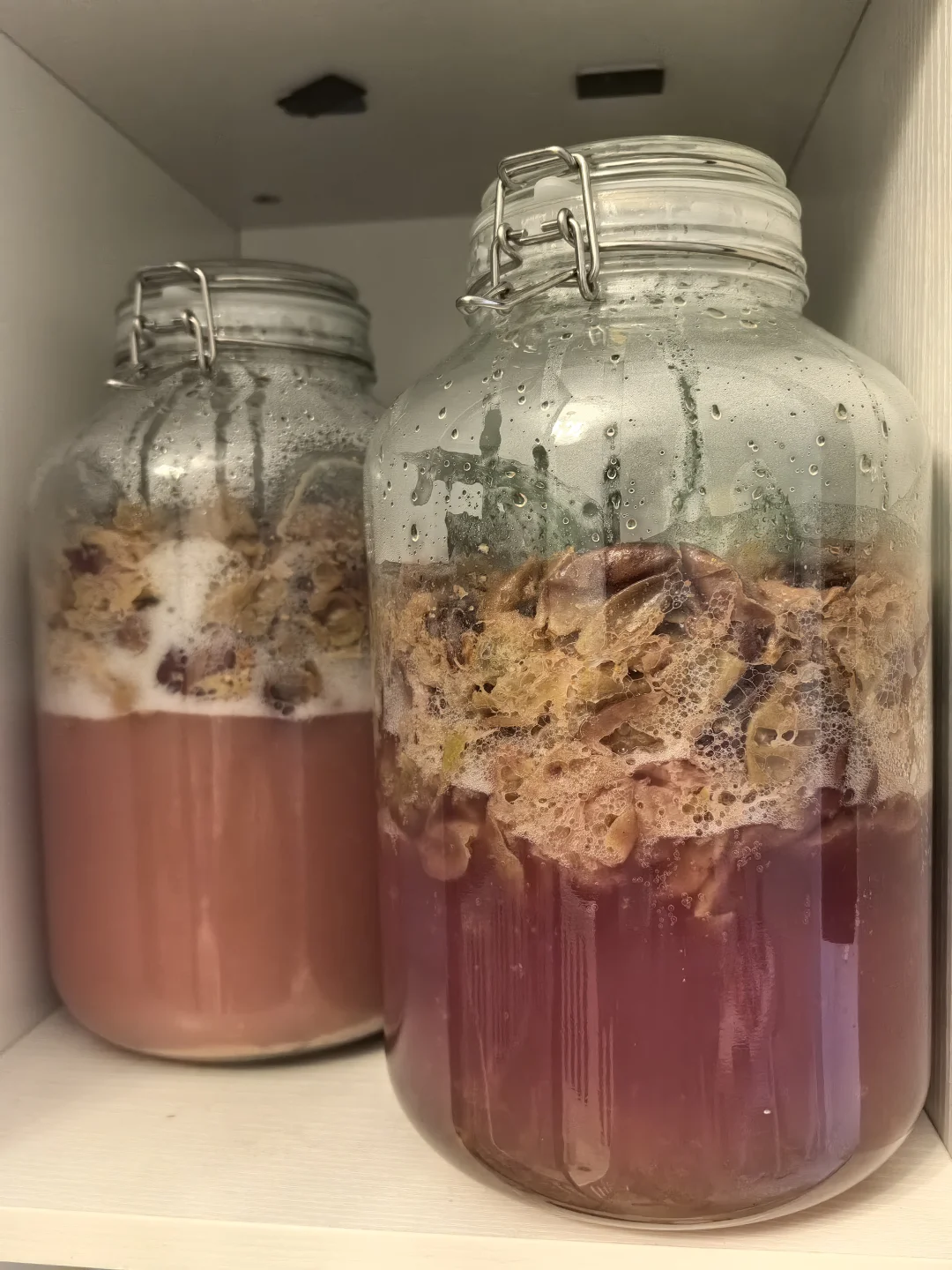 自酿葡萄酒为什么颜色不一样