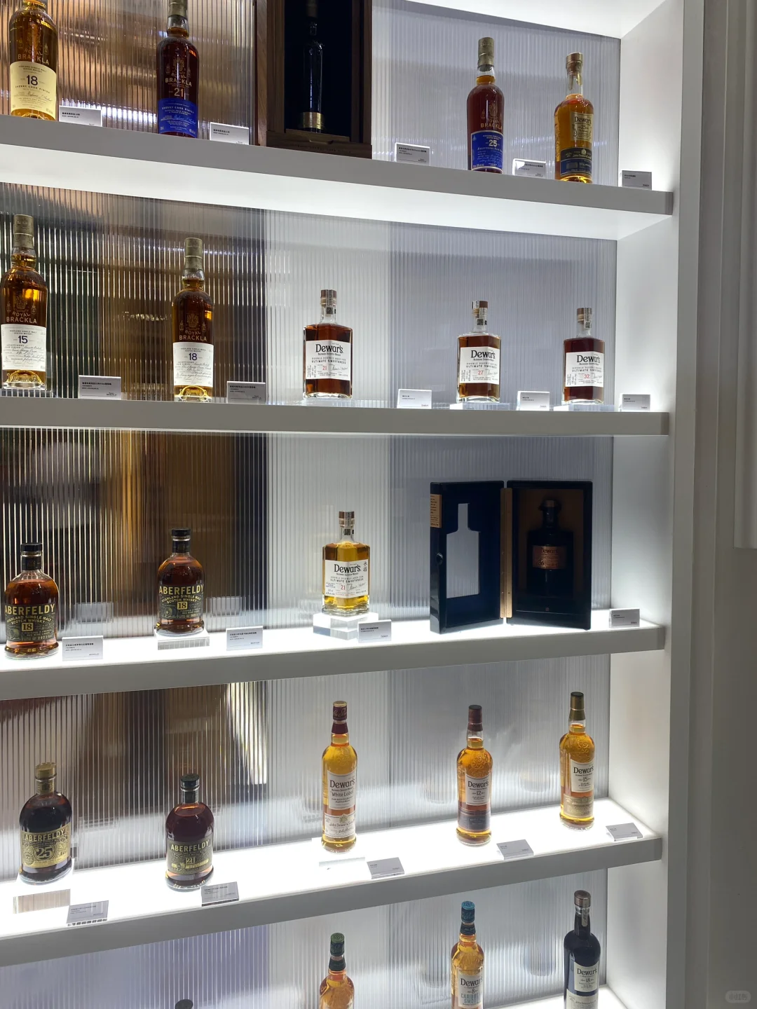 whiskyl2025｜今年也参加了！